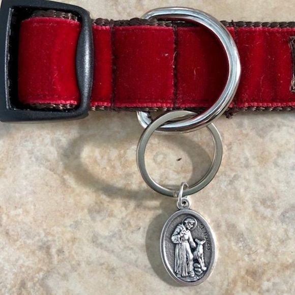 Sterling Silver 18” plated with St Francis Medal Necklace CHARITY - Picture 3 of 12